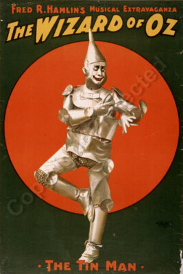 Tin Man poster Hamlin