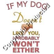 if my dog doesnt like you female